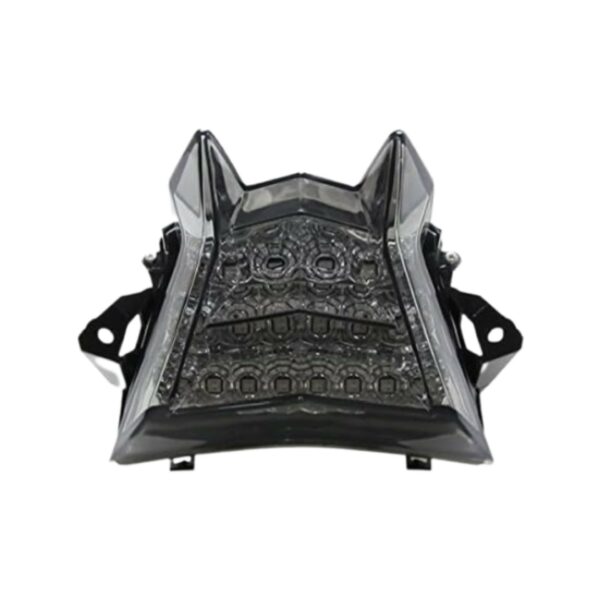 FARO TRASERO LED C/GIROS INTEG. BMW S1000RR 15-19/R 14-20 - Image 2